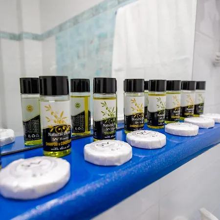Maria Luxury Holiday home Olympiada